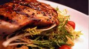 All Seasons Catering