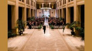 Jane Hammond Events