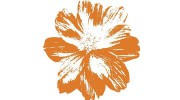 Cosmos Catering