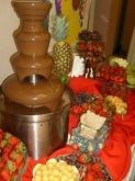 Chocolate Fountain with all kinds of goodies