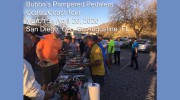 Culinary Insider
